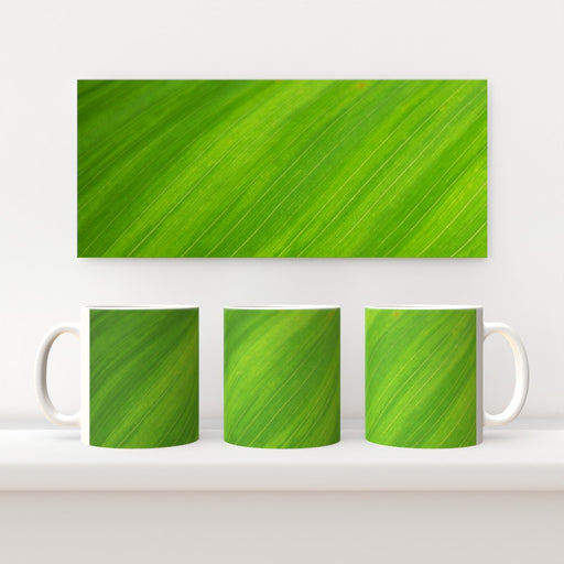 11oz Ceramic Mug - Green Linear - printonitshop