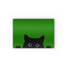 Glass Chopping Boards - Kitty Green - Print On It