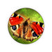 Coasters - Digital Butterfly - printonitshop