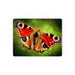 Placemat - Digital Butterfly - printonitshop