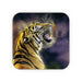 Coasters - Digital Tiger - printonitshop