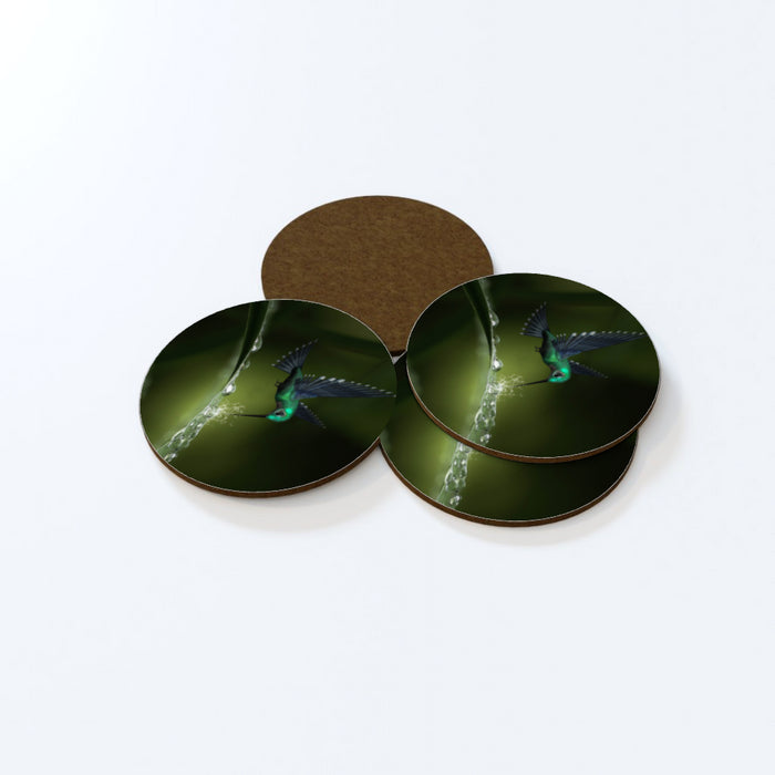 Coasters - Hummingbird Feeding - printonitshop