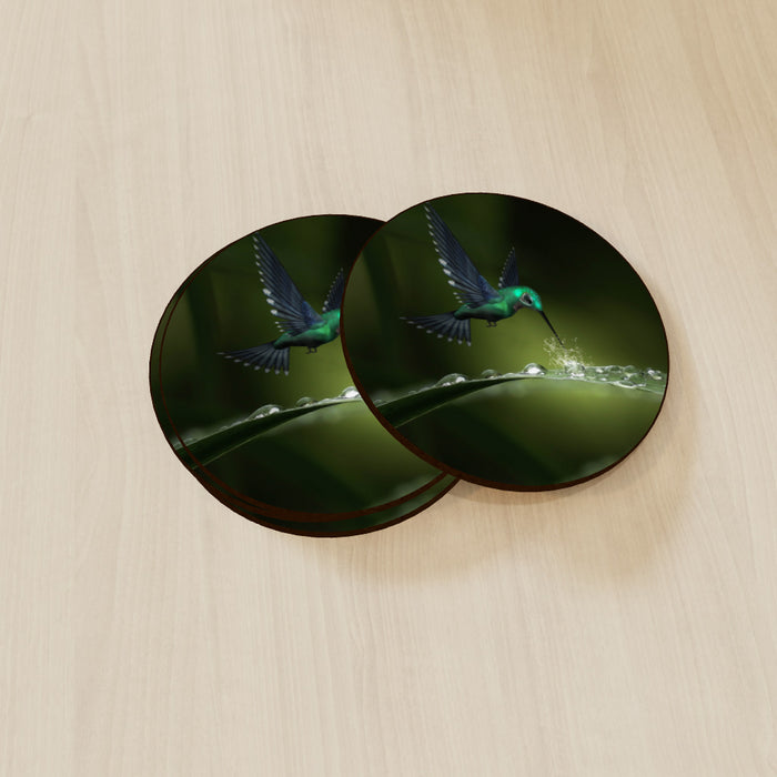 Coasters - Hummingbird Feeding - printonitshop