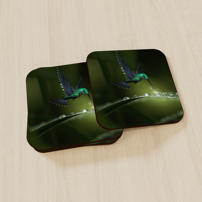 Coasters - Hummingbird Feeding - printonitshop