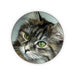 Coasters - Digital Kitten - printonitshop