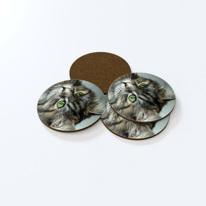 Coasters - Digital Kitten - printonitshop