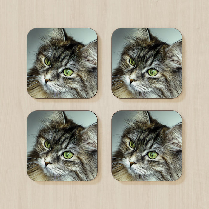 Coasters - Digital Kitten - printonitshop