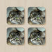 Coasters - Digital Kitten - printonitshop