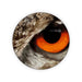 Coasters - Owl Eye - printonitshop