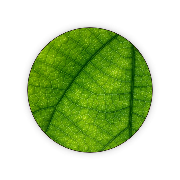 Coasters - Green Leaf - printonitshop