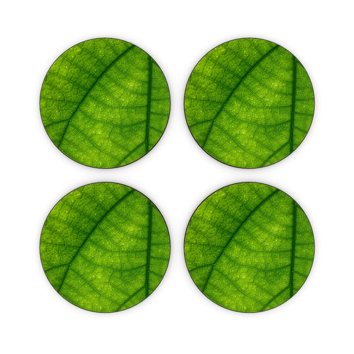 Coasters - Green Leaf - printonitshop