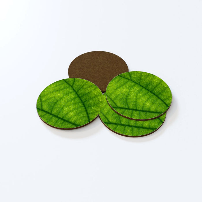 Coasters - Green Leaf - printonitshop