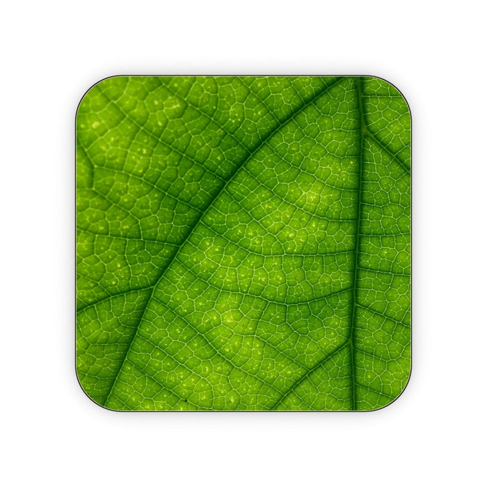 Coasters - Green Leaf - printonitshop