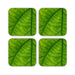 Coasters - Green Leaf - printonitshop