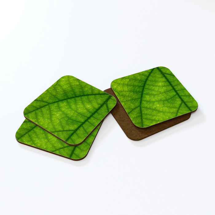 Coasters - Green Leaf - printonitshop