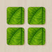Coasters - Green Leaf - printonitshop