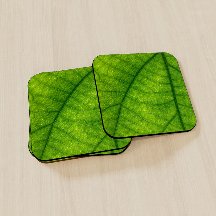 Coasters - Green Leaf - printonitshop