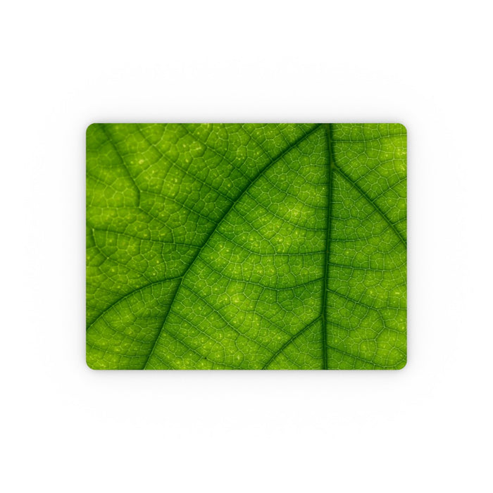 Placemat - Green Leaf - printonitshop