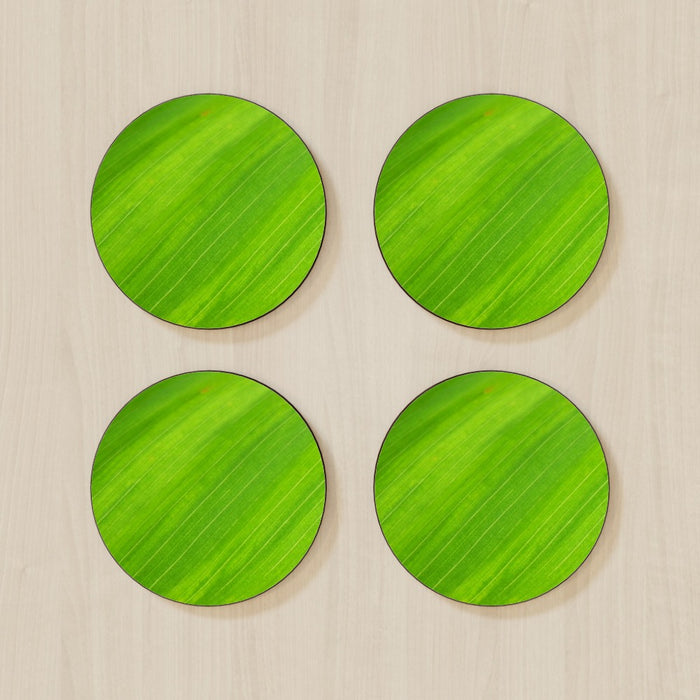 Coasters - Green Linear - printonitshop