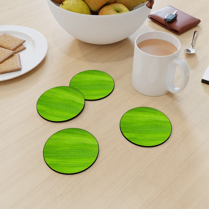 Coasters - Green Linear - printonitshop