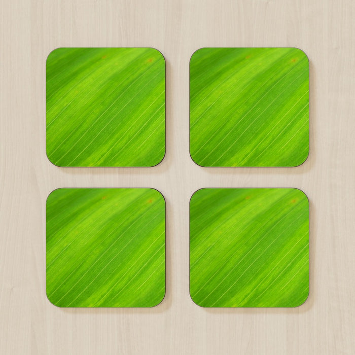 Coasters - Green Linear - printonitshop