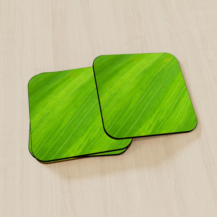 Coasters - Green Linear - printonitshop