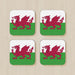 Coasters - Wales - Print On It