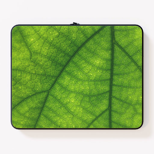 Laptop Skin - Green Leaf - printonitshop