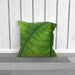 Cushions - Green Leaf - printonitshop