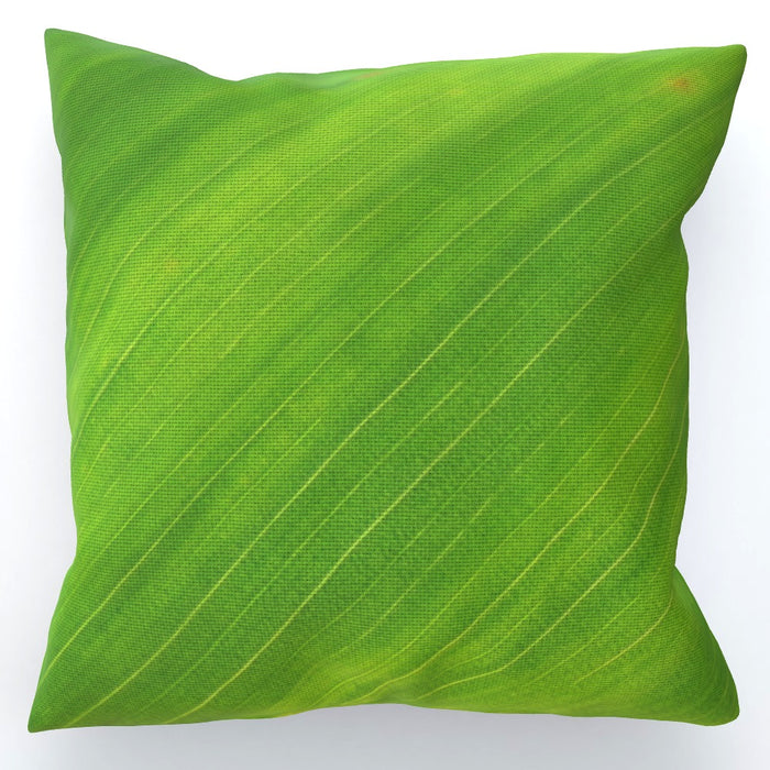 Cushions - Green Linear - printonitshop