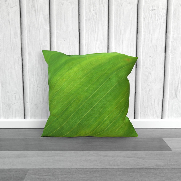 Cushions - Green Linear - printonitshop