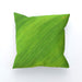 Cushions - Green Linear - printonitshop