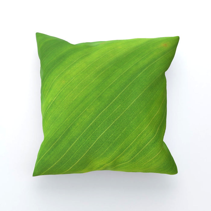 Cushions - Green Linear - printonitshop