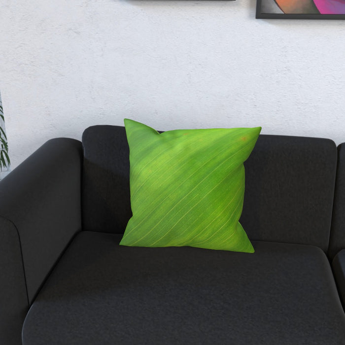 Cushions - Green Linear - printonitshop