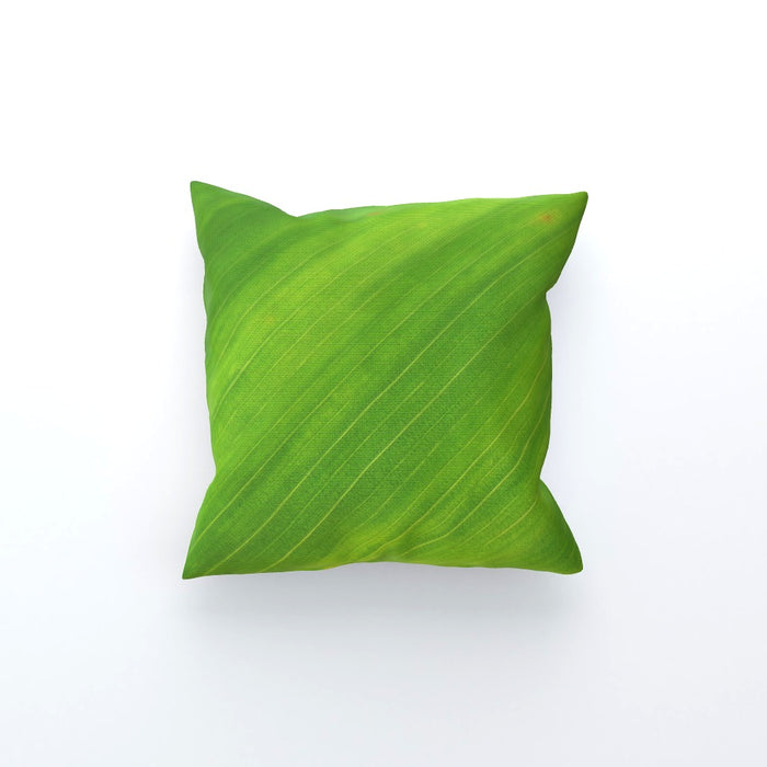 Cushions - Green Linear - printonitshop