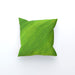 Cushions - Green Linear - printonitshop