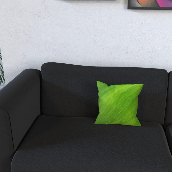 Cushions - Green Linear - printonitshop