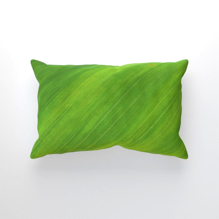 Cushions - Green Linear - printonitshop