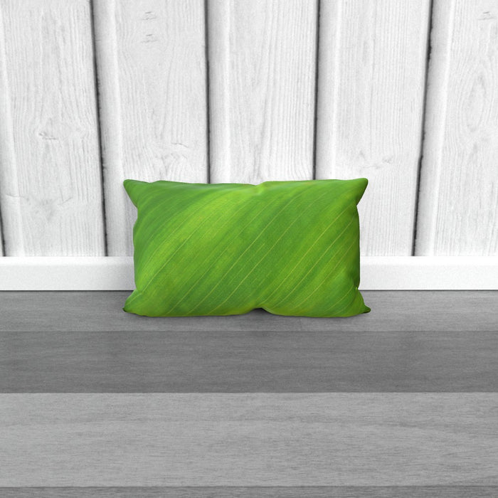 Cushions - Green Linear - printonitshop