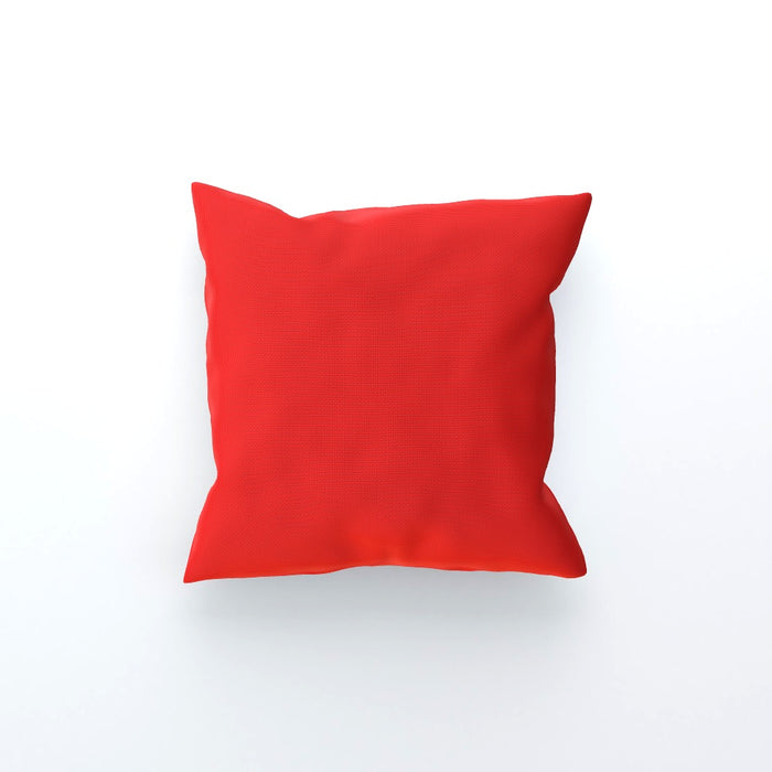 Cushions - Babies on Red - printonitshop