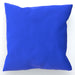 Cushions - Babies on Blue - printonitshop