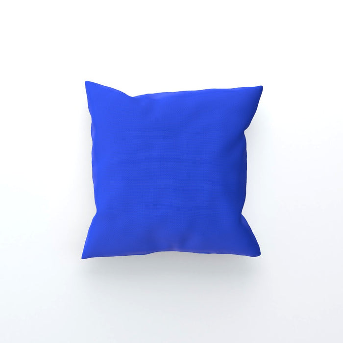 Cushions - Babies on Blue - printonitshop