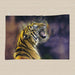 Tea Towel - Digital Tiger - printonitshop