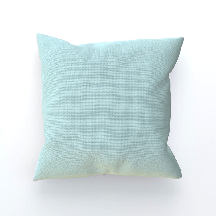 Cushion - Switch Light Blue - printonitshop