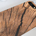 iPhone Cases - Trunk - printonitshop