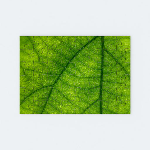 Jigsaw - Leaf - printonitshop