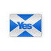 Glass Chopping Boards - Scotland Yes - printonitshop