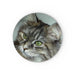 Glass Chopping Board - Digital Kitten - printonitshop