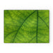 Glass Chopping Board - Green Leaf - printonitshop