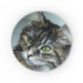 Metal Tins - Kitten - printonitshop